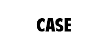 Case Final Drives